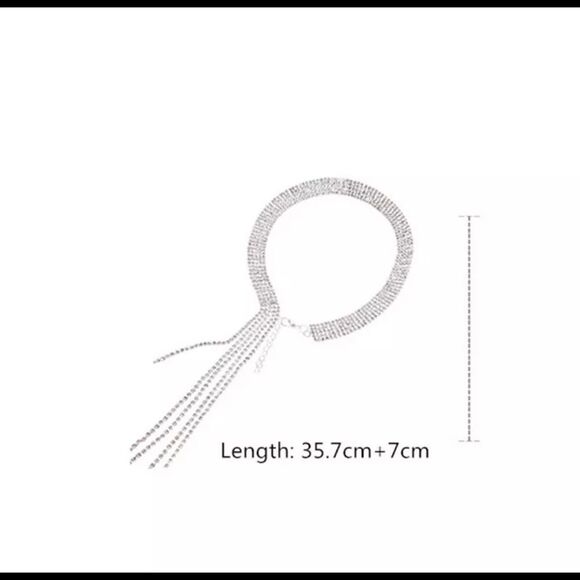 Long Diamond Tassel Necklace - Picture 5 of 5